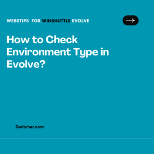 Read more about the article How can the Environment Type be checked in Evolve?